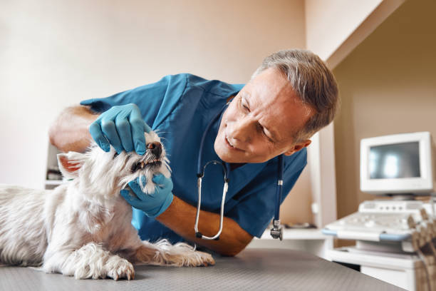Best Dental Abscess Treatment in Liberty, PA